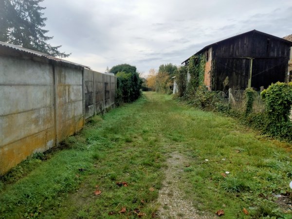 orle-neung_116.jpg (73590 octets)