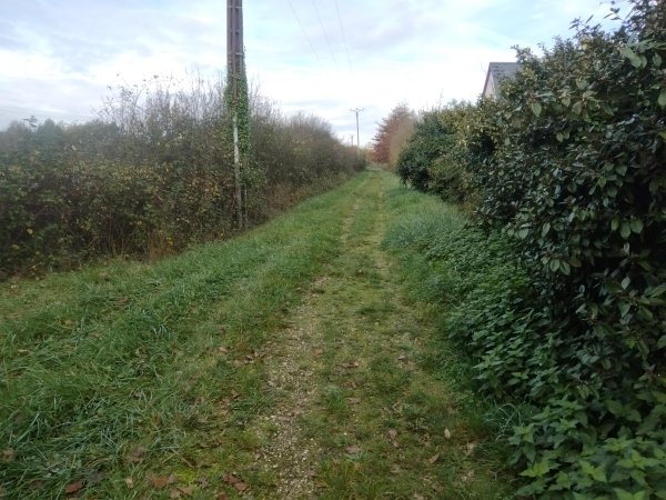 orle-neung_120.jpg (79382 octets)