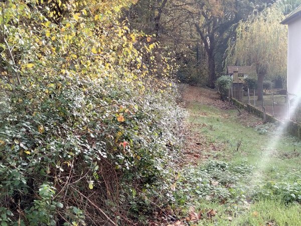 orle-neung_122.jpg (132077 octets)