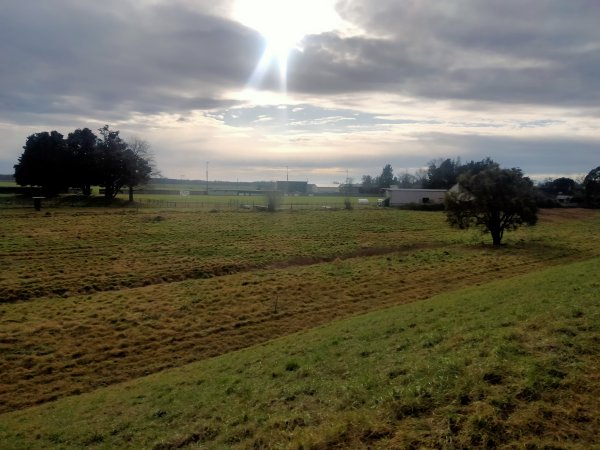 orle-neung_125.jpg (55469 octets)